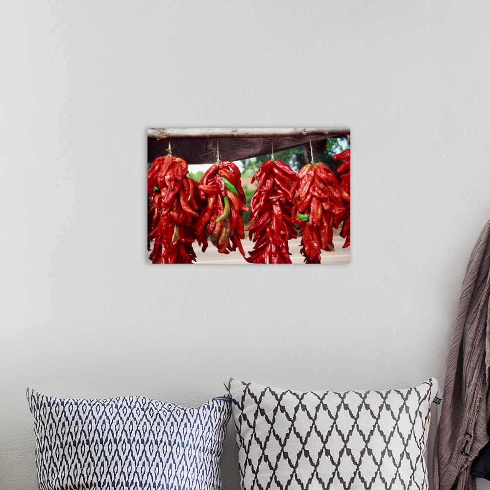 A bohemian room featuring Red peppers drying