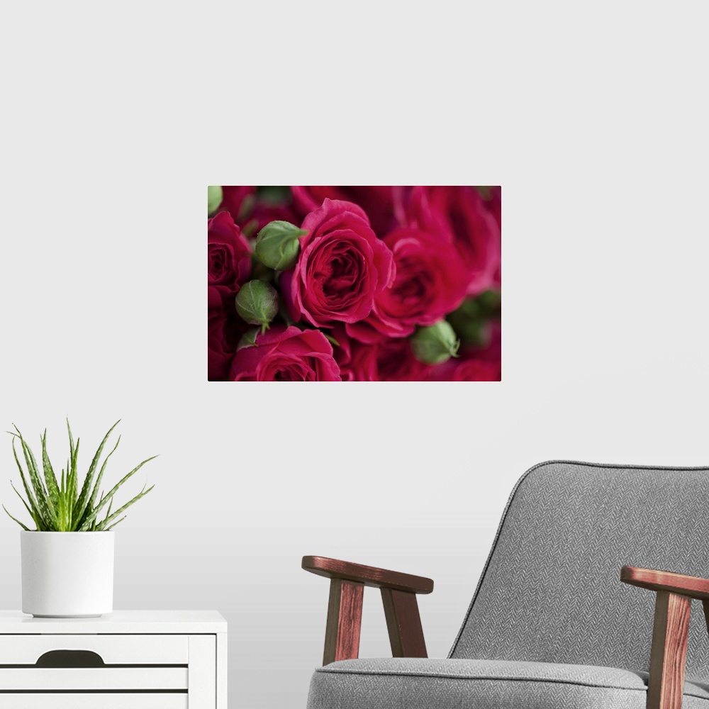 A modern room featuring Red roses