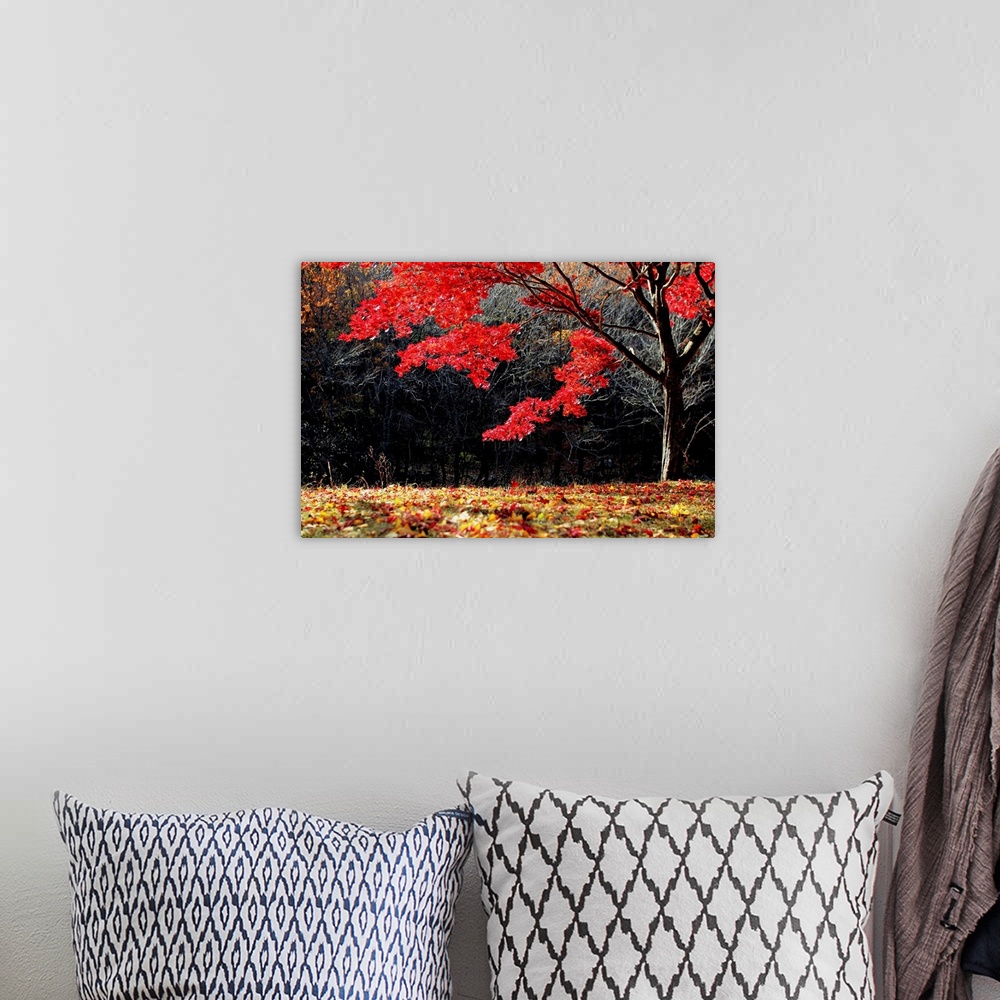 A bohemian room featuring Red tree