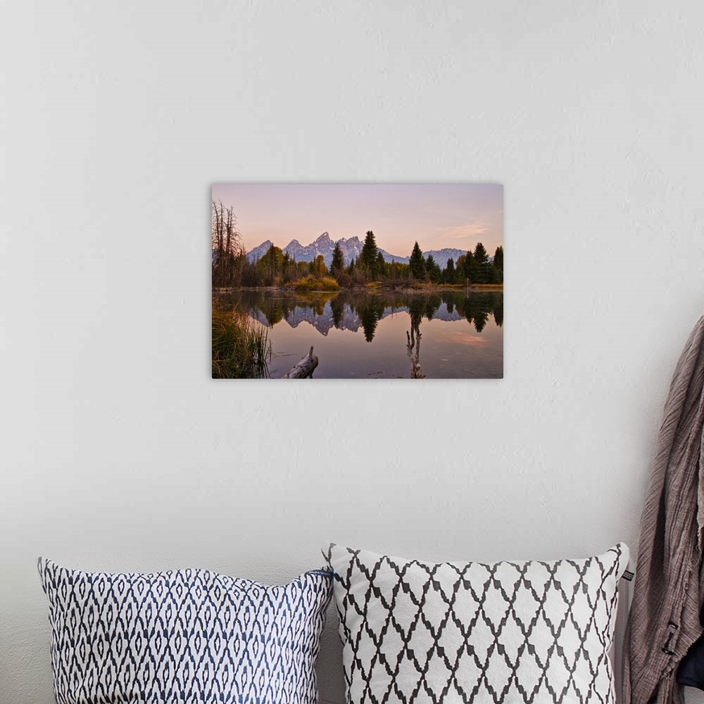 A bohemian room featuring Reflection of pine trees in lake at sunrise, Grand Teton National Park.