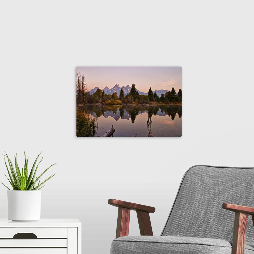 A modern room featuring Reflection of pine trees in lake at sunrise, Grand Teton National Park.