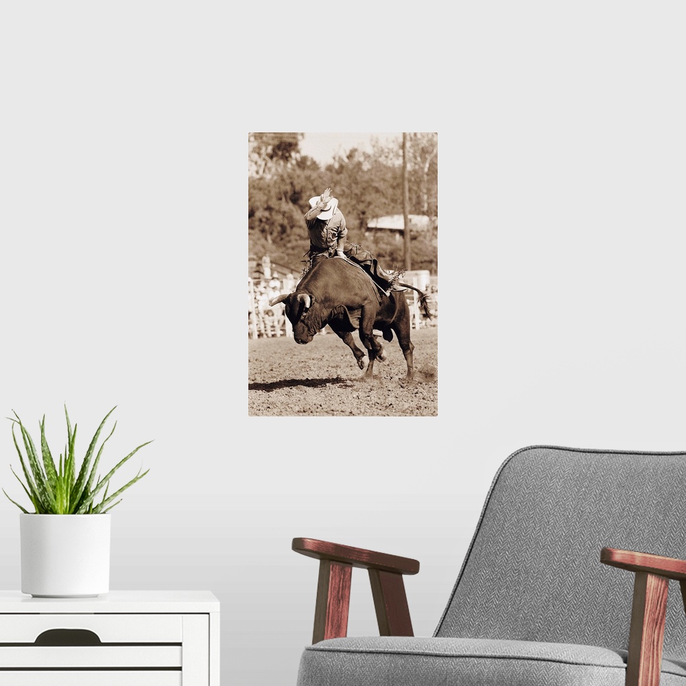 A modern room featuring Rider about to fall off bucking bull