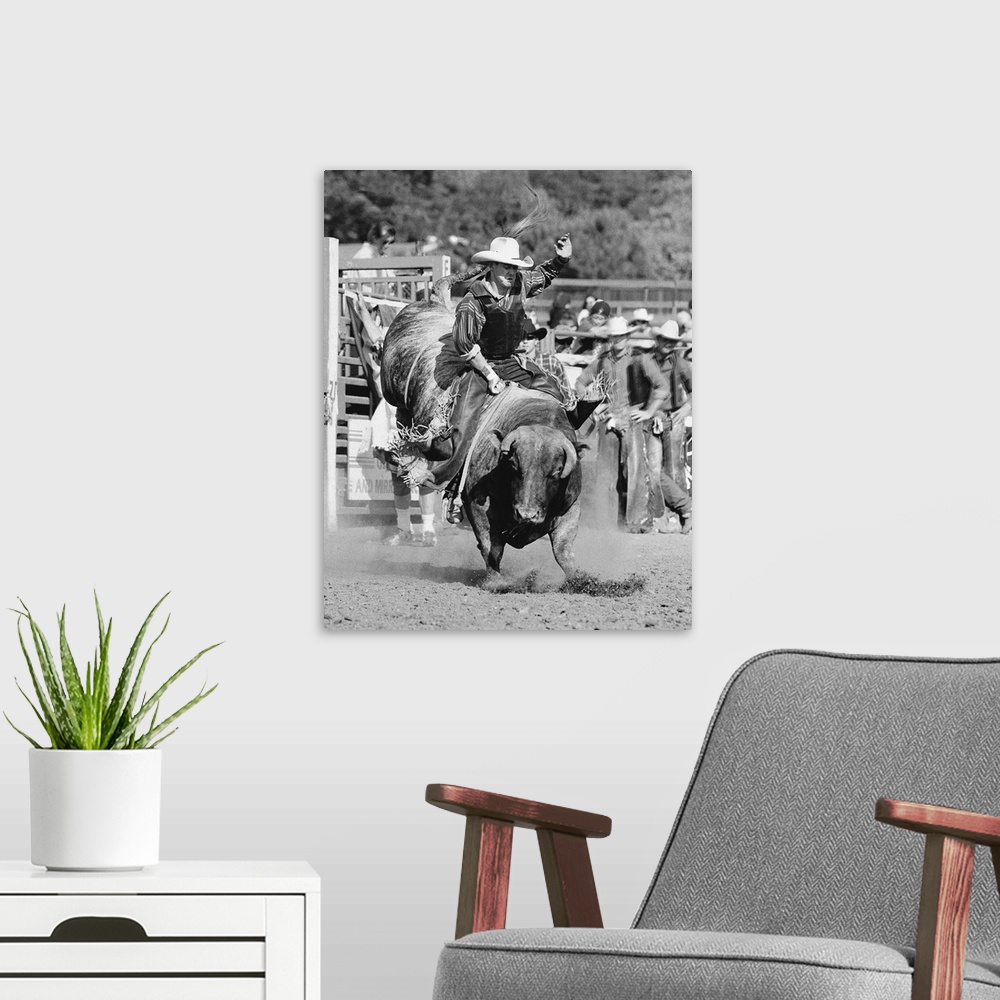 A modern room featuring Rider Hanging On To Bucking Bull