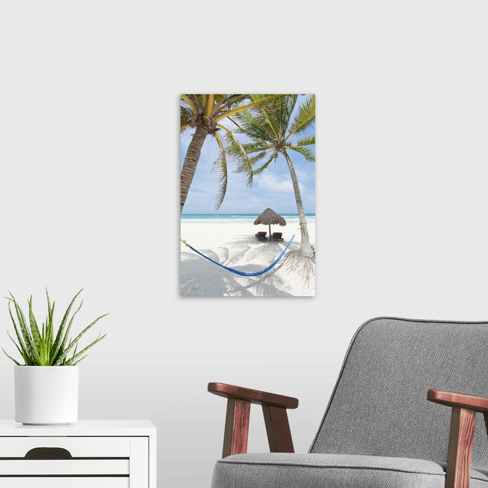 A modern room featuring Tropical summer beach resort with chaise lounge beach chairs, hammock and palm trees in Tulum, Me...