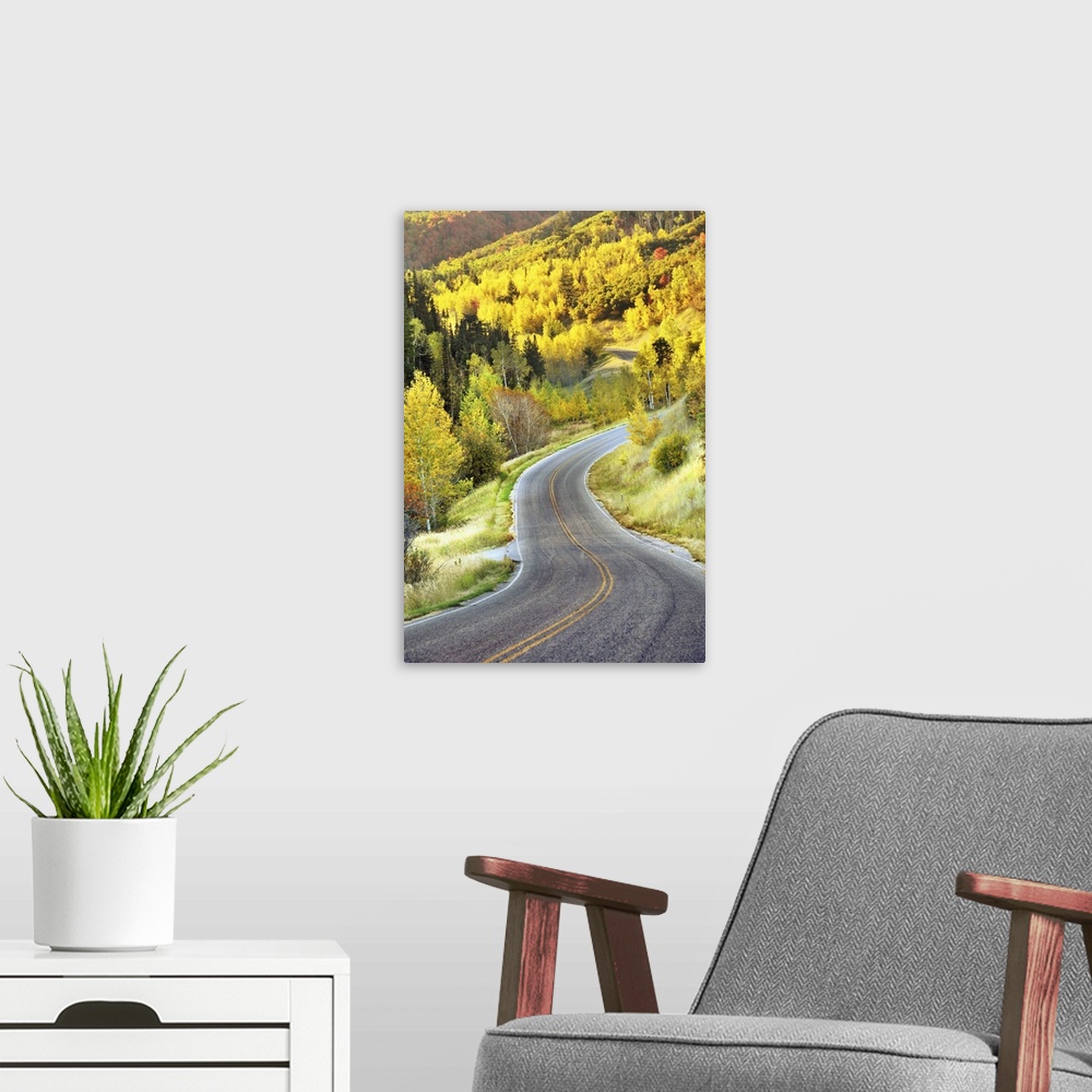 A modern room featuring Road leading to Cascade Springs to Alpine Loop.