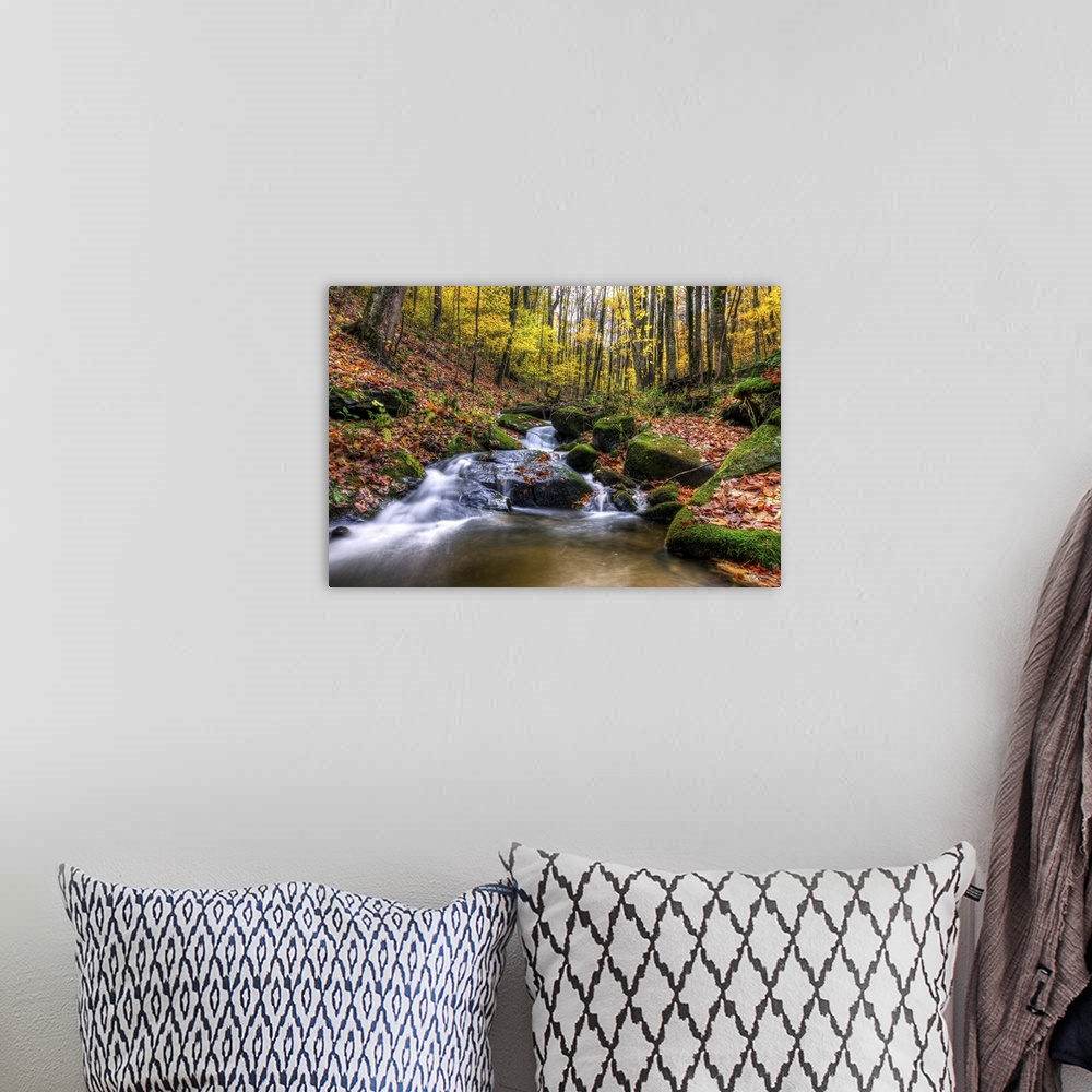 A bohemian room featuring Beautiful stream cascades through forest in autumn, Roan Mountain.