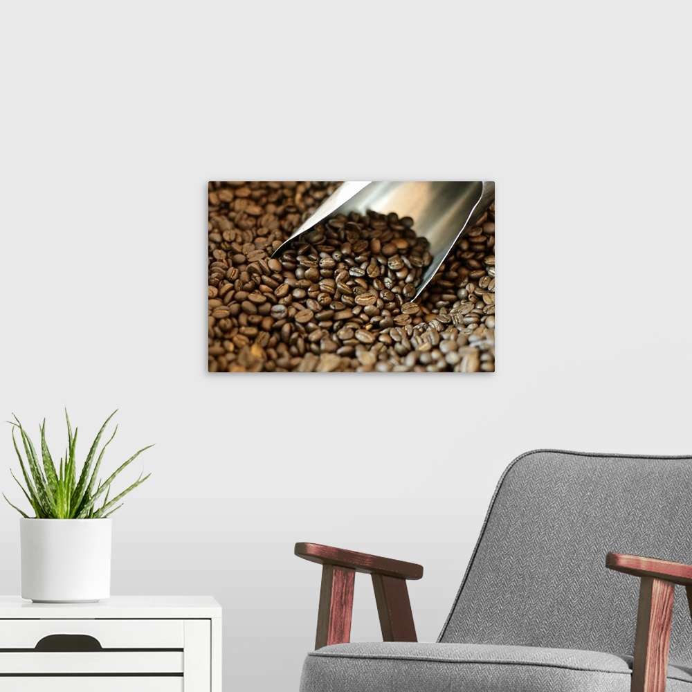 A modern room featuring Roasted coffee beans.
