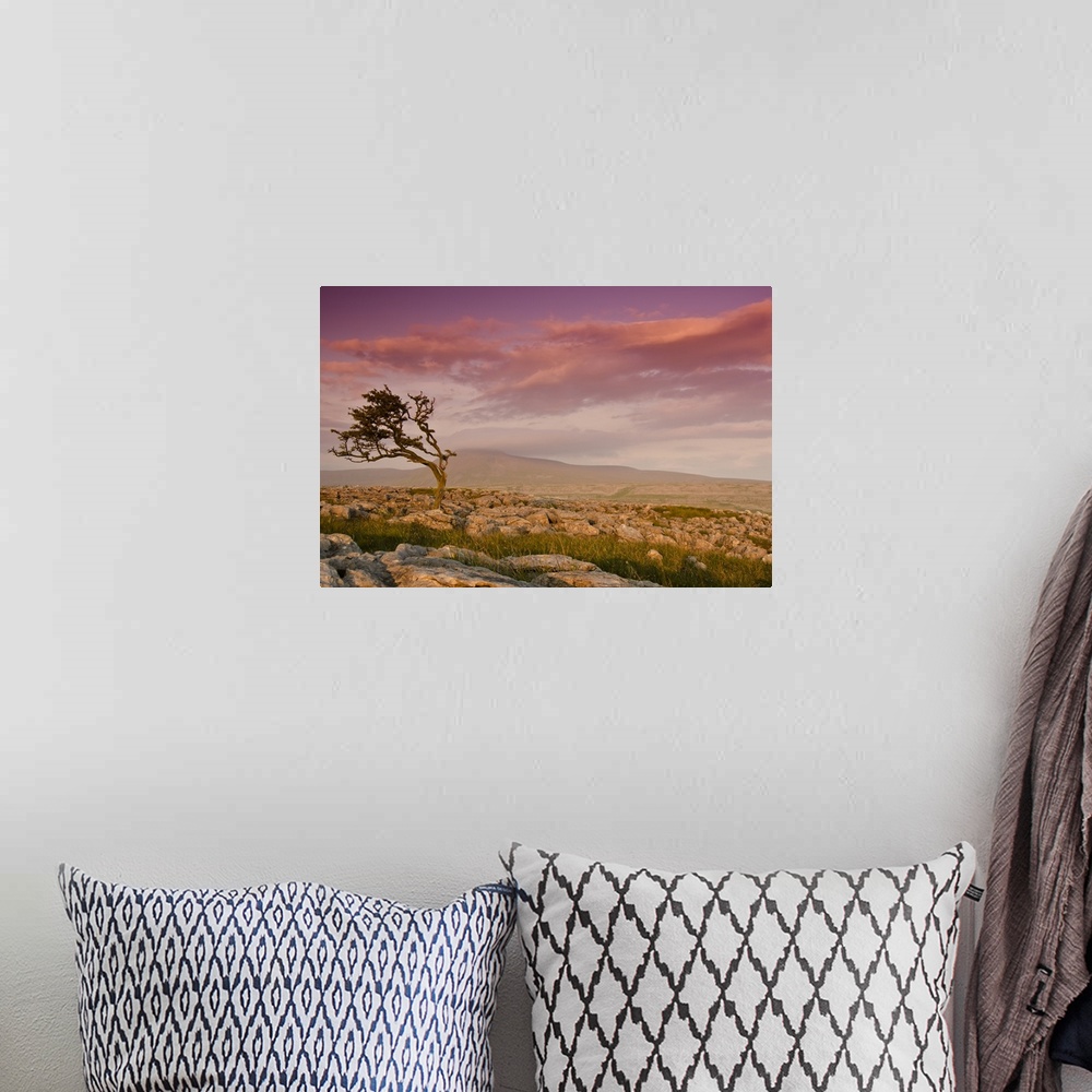 A bohemian room featuring Rocky landscape with lone tree in sunset.