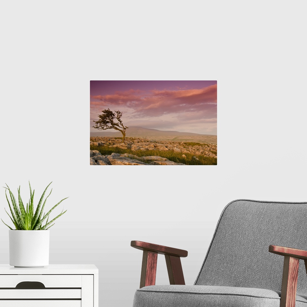 A modern room featuring Rocky landscape with lone tree in sunset.