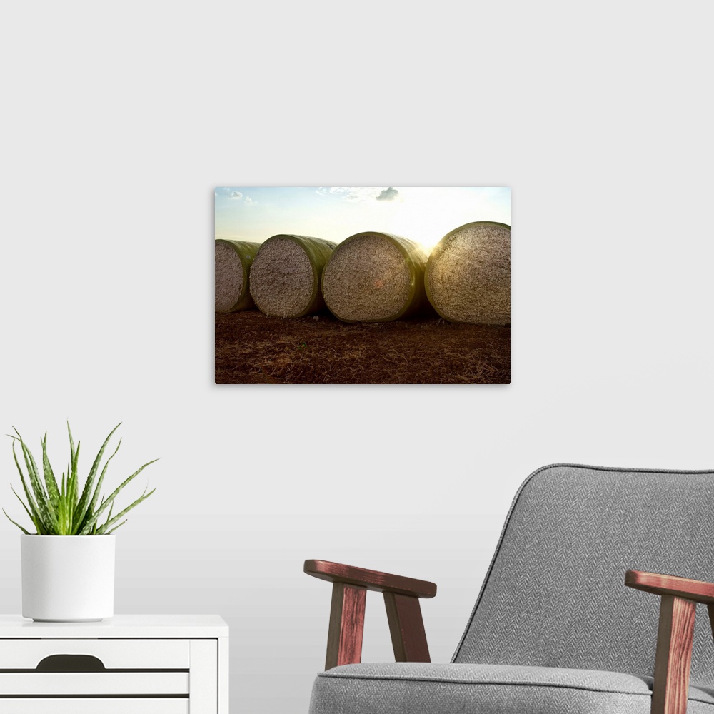 A modern room featuring Round bales of picked cotton at sunset and sky in background.