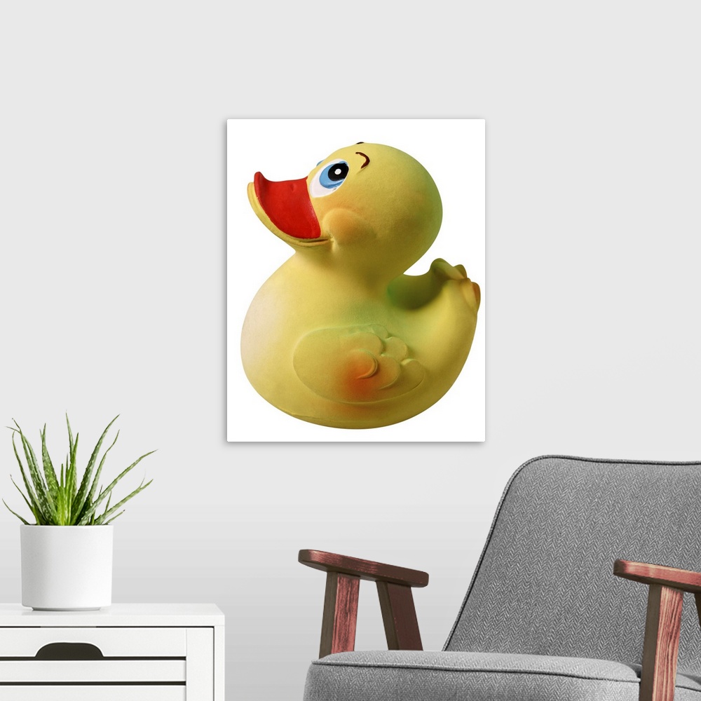 A modern room featuring Rubber ducky