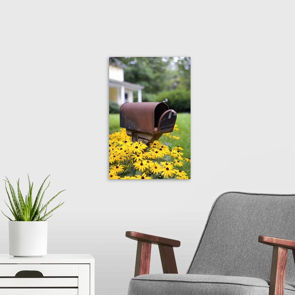 A modern room featuring A mailbox out in front of a small town home surrounded by bright yellow flowers.