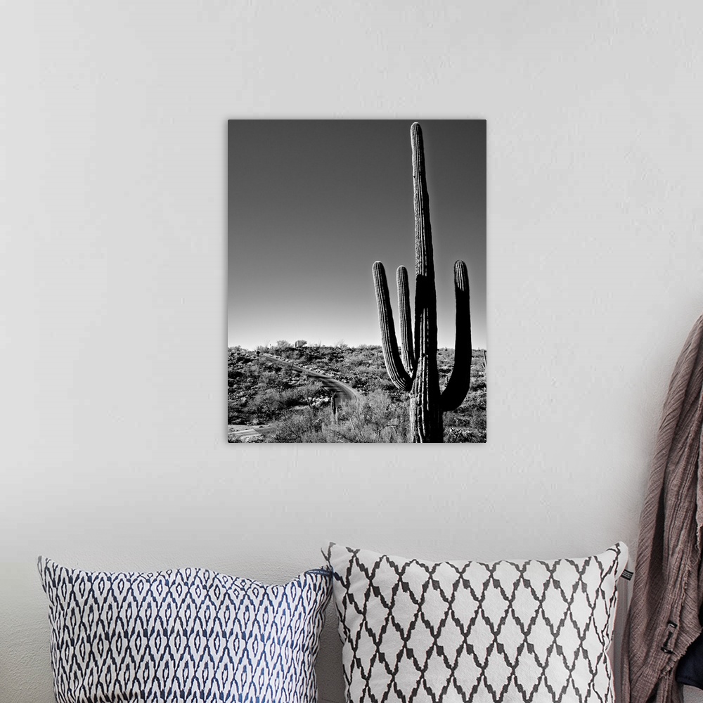 A bohemian room featuring Black and white photograph of a Saguaro Cactus (Carnegiea gigantea) and road near Tucson, Arizona.