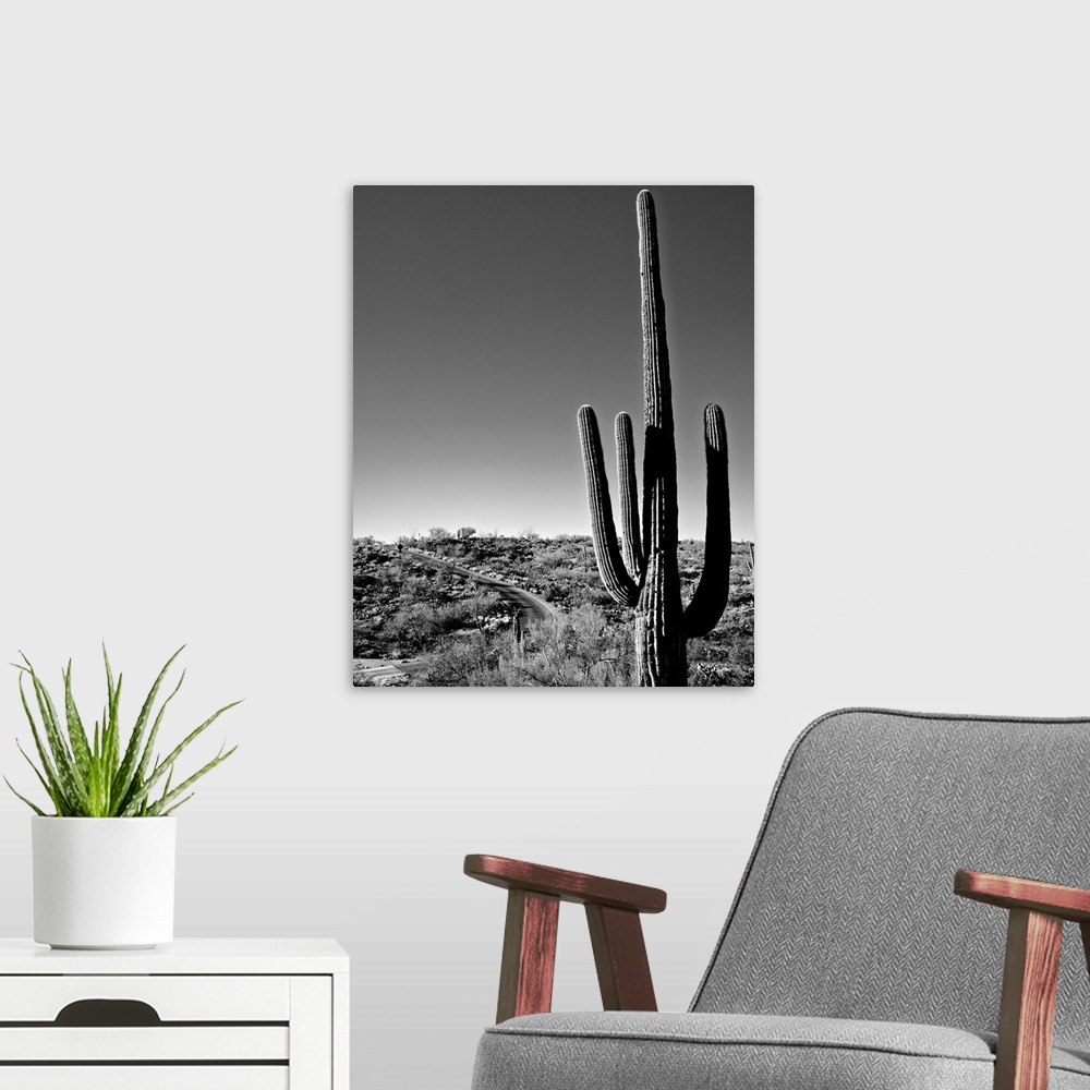 A modern room featuring Black and white photograph of a Saguaro Cactus (Carnegiea gigantea) and road near Tucson, Arizona.