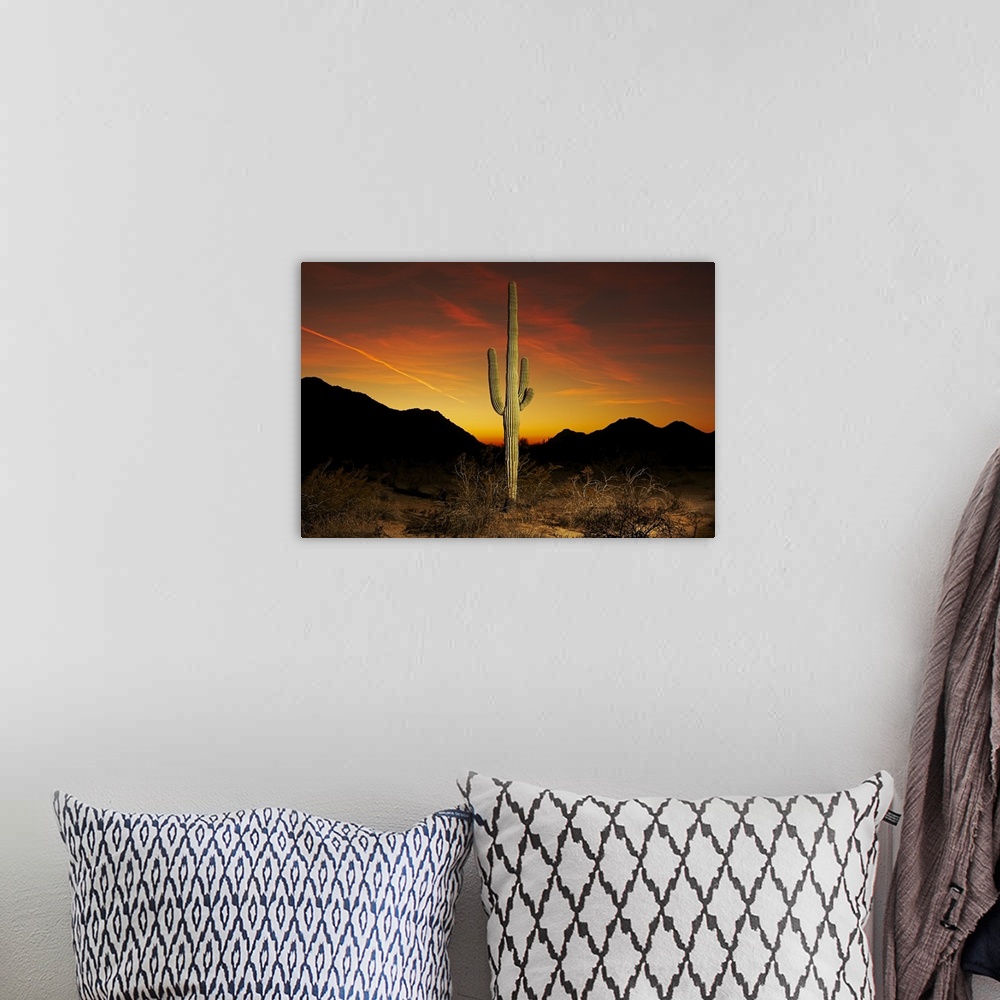 A bohemian room featuring Saguaro cactus at sunset