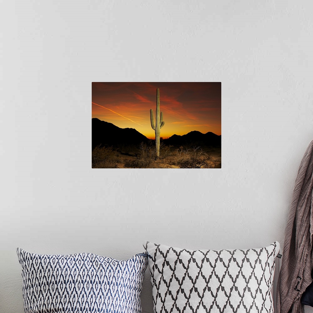 A bohemian room featuring Saguaro cactus at sunset