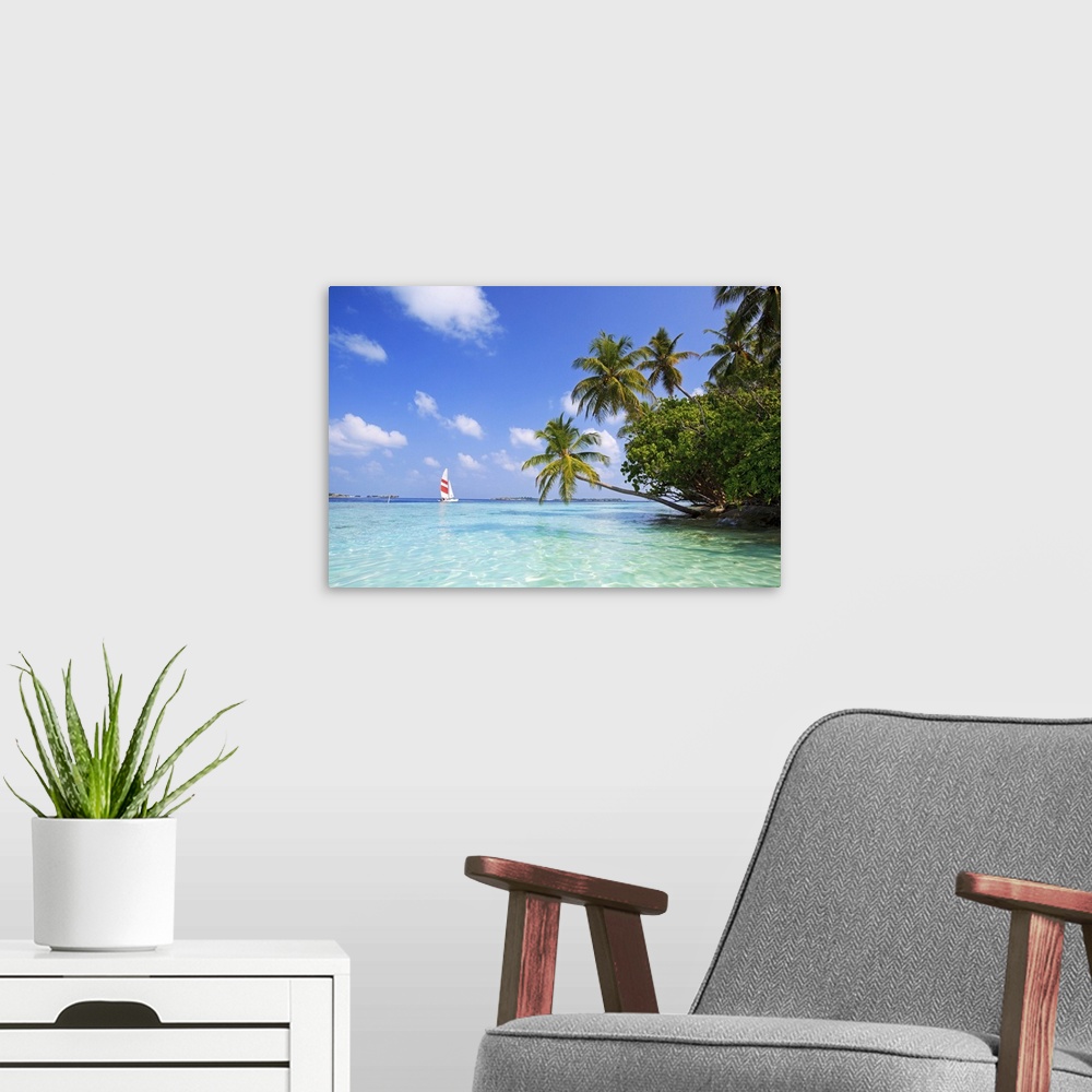 A modern room featuring Big, landscape photograph of palm trees swaying over the clear blue waters of the Indian Ocean.  ...