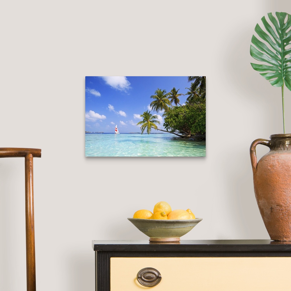 A traditional room featuring Big, landscape photograph of palm trees swaying over the clear blue waters of the Indian Ocean.  ...