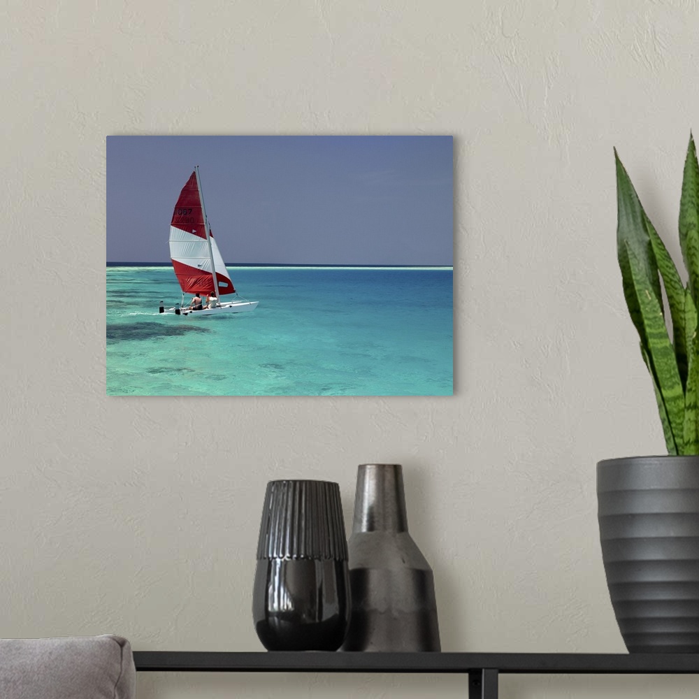 A modern room featuring Sailboat on crystal blue water