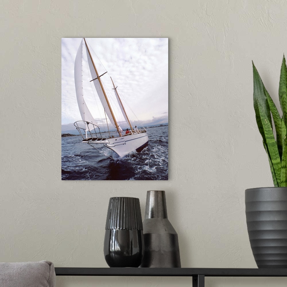 A modern room featuring Sailboat on ocean