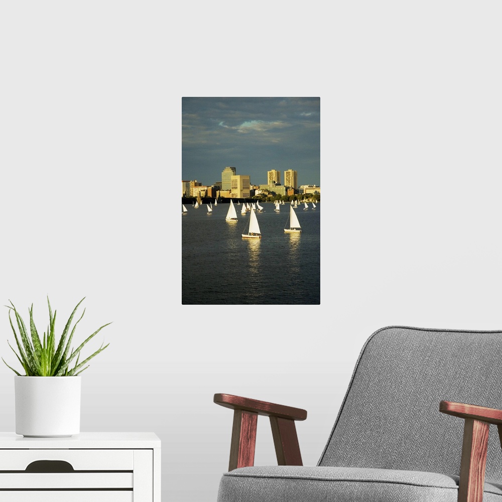A modern room featuring Sailboats in a river, Charles River, Boston, Massachusetts, USA