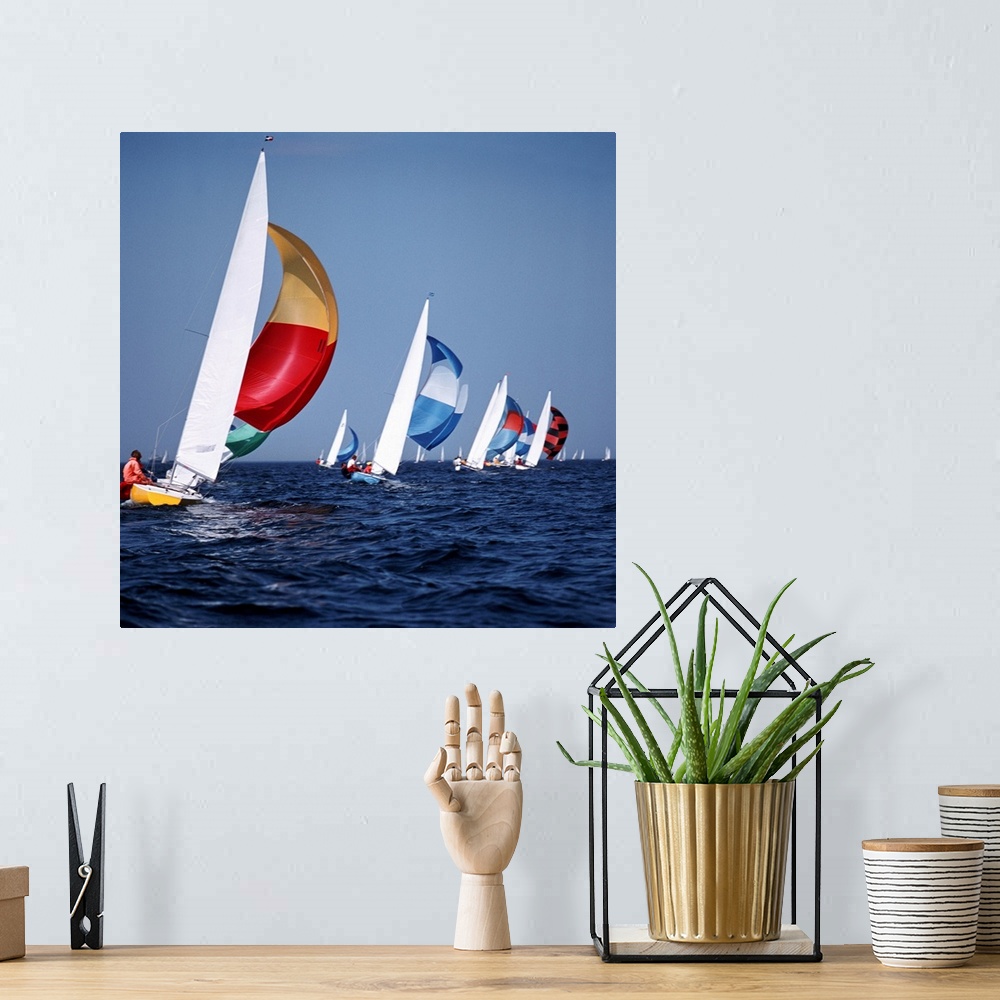 A bohemian room featuring Big canvas photo art of sailboats sailing in the ocean.