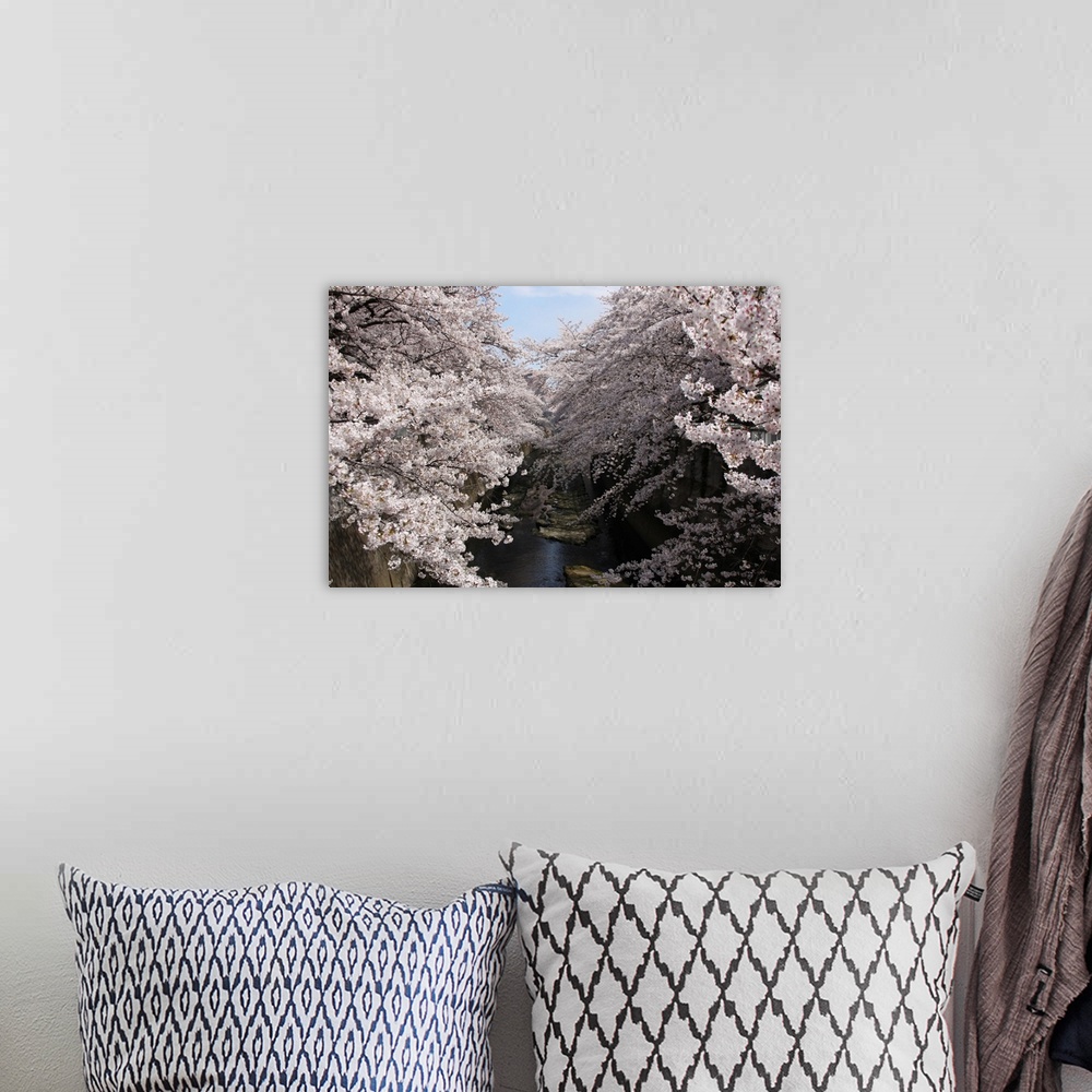 A bohemian room featuring Sakura tree near river.
