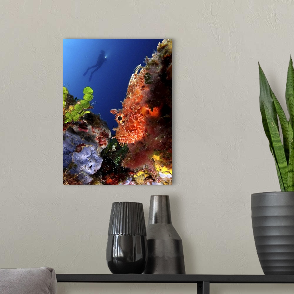 A modern room featuring Man scuba diving in sea and enjoying under water beauty.