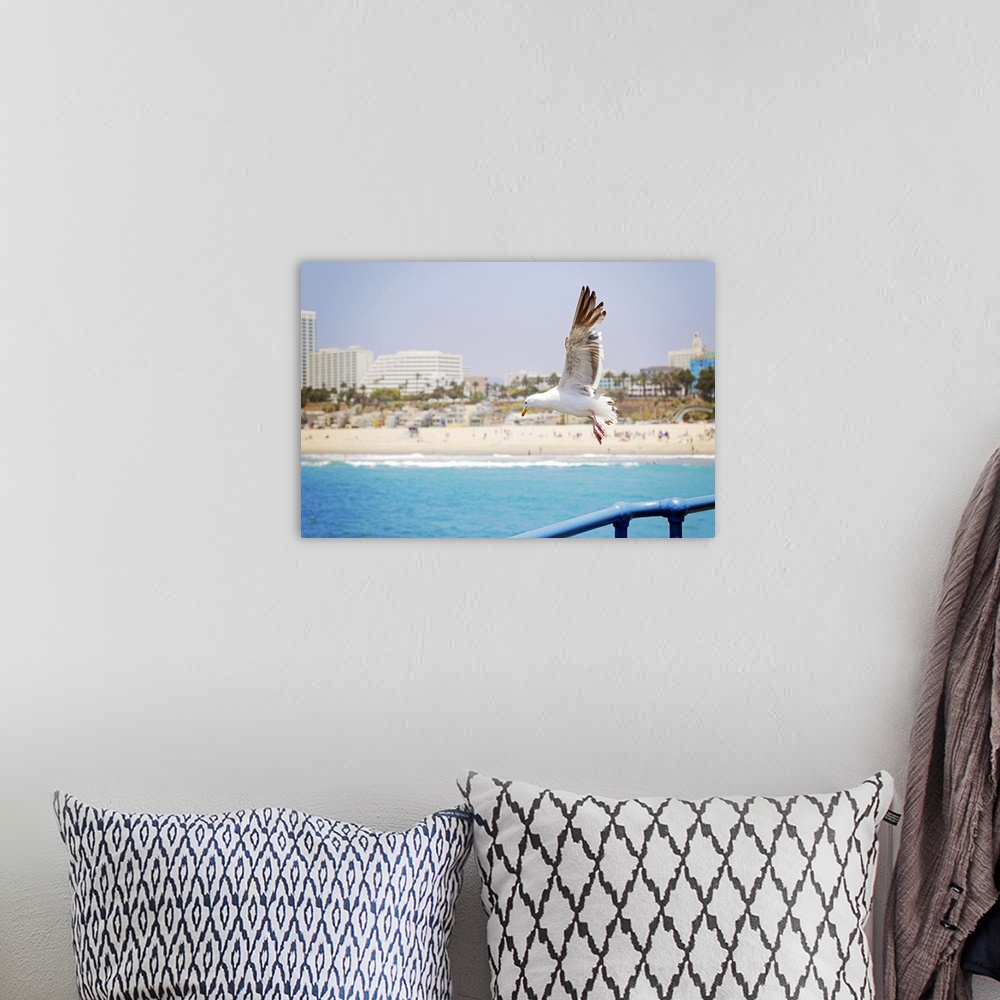 A bohemian room featuring Seagull flying off Santa Monica Pier.