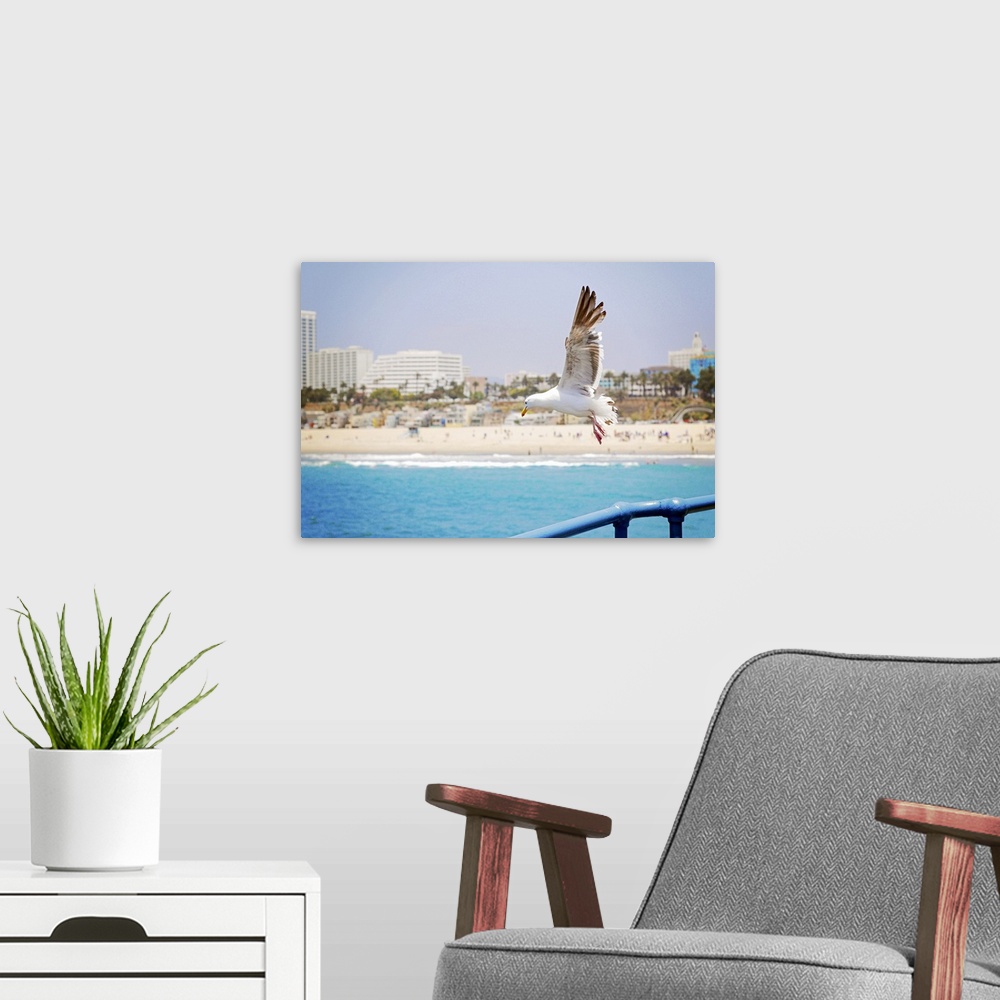 A modern room featuring Seagull flying off Santa Monica Pier.