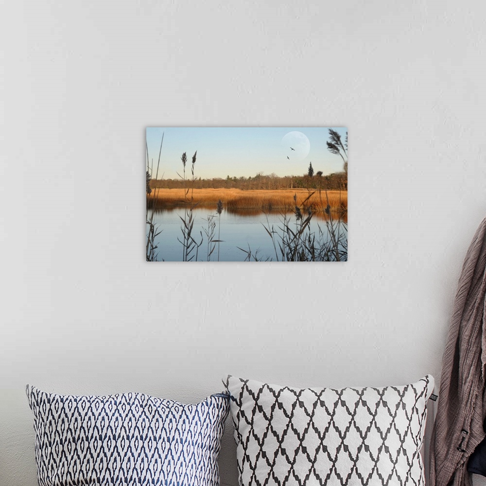 A bohemian room featuring Seascape of marshlands in northeast of United States.