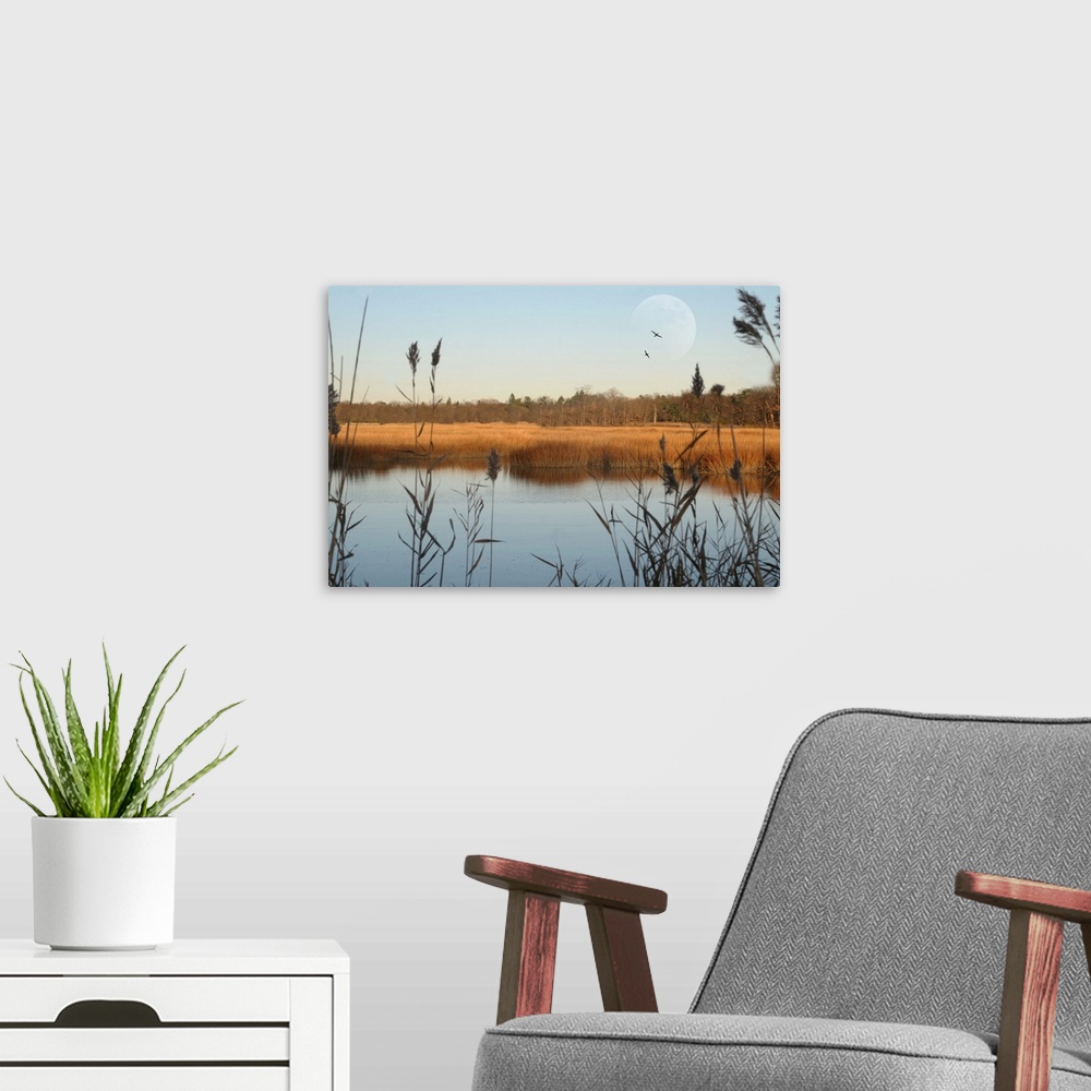 A modern room featuring Seascape of marshlands in northeast of United States.