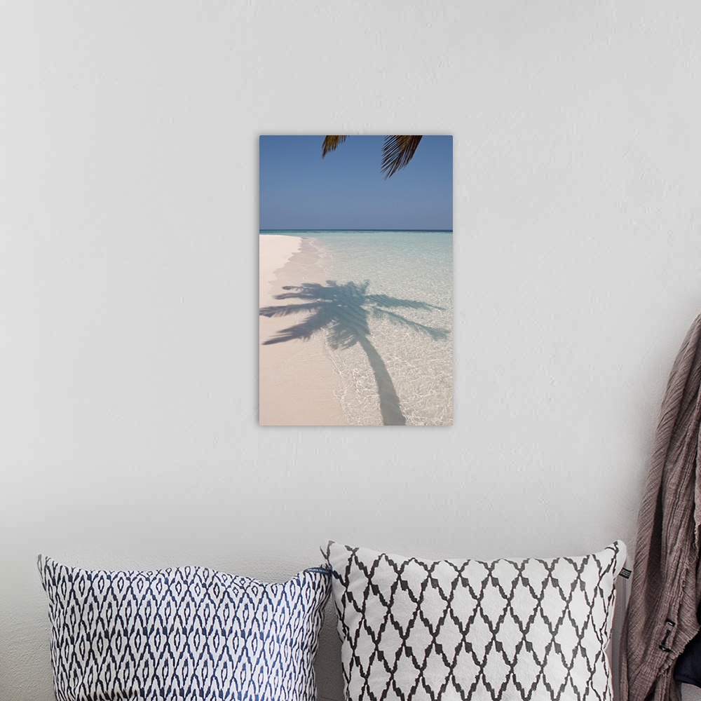 A bohemian room featuring The shadow of a large palm tree is photographed as it's shown on the clear ocean water and white ...
