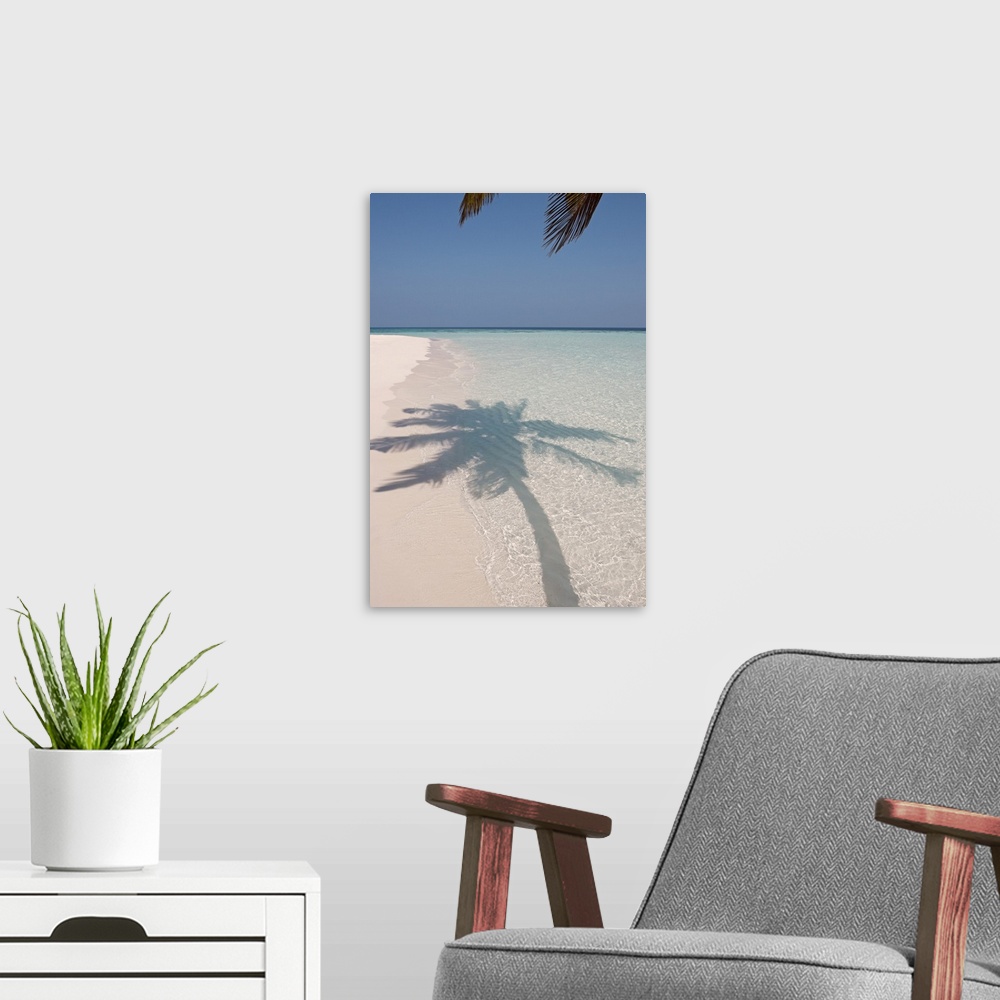 A modern room featuring The shadow of a large palm tree is photographed as it's shown on the clear ocean water and white ...