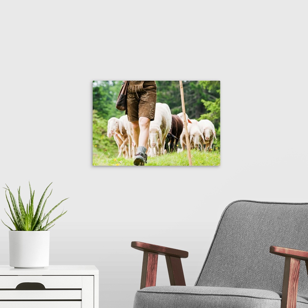 A modern room featuring Austria, Salzburg County, Shepherd herding sheep on mountain