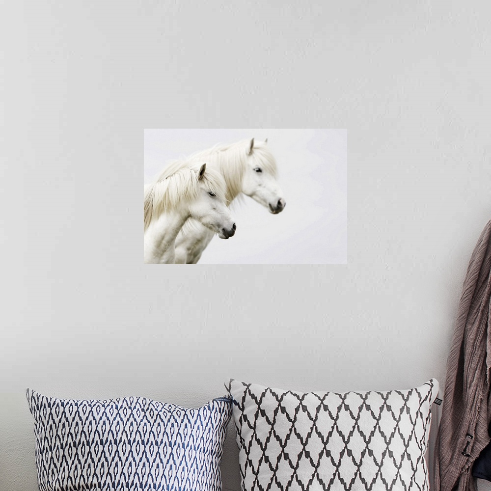 A bohemian room featuring Side face of two white horses