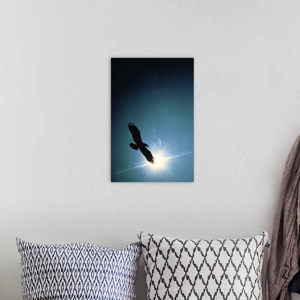 A bohemian room featuring Silhouette of bald eagle flying in sky