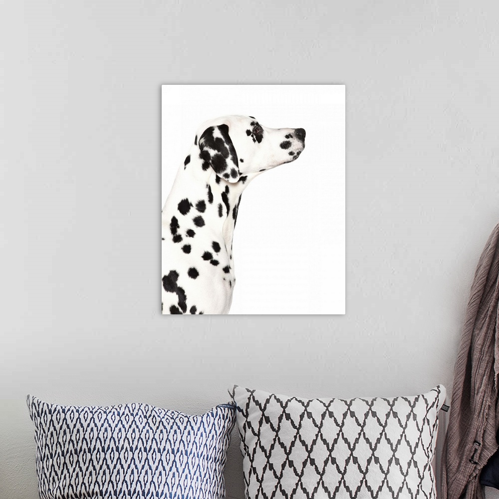 A bohemian room featuring Silhouette of Dalmatian's face