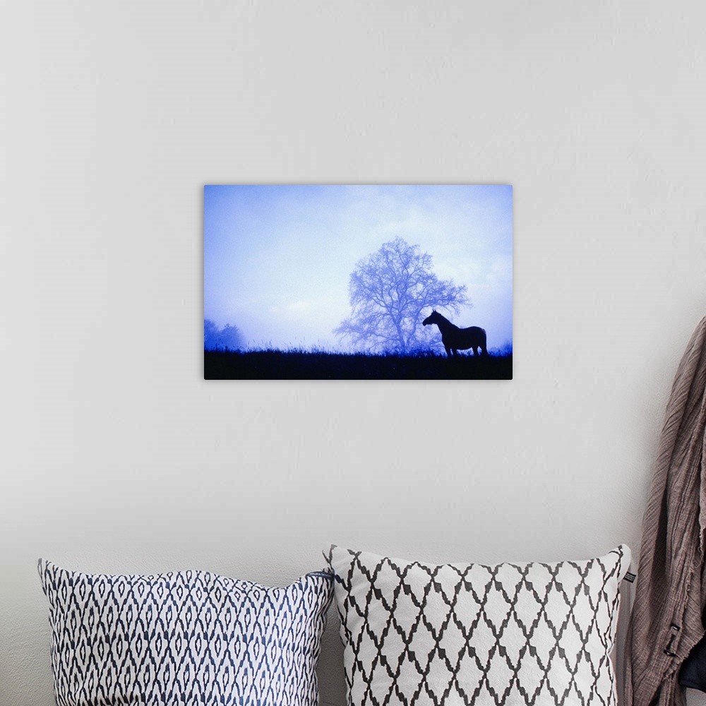 A bohemian room featuring Silhouette of horse standing in meadow at dusk