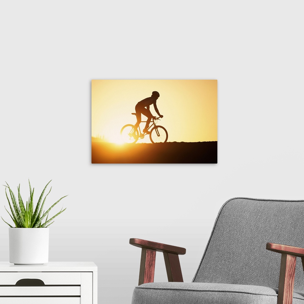 A modern room featuring Silhouette of man riding mountain bike at sunset
