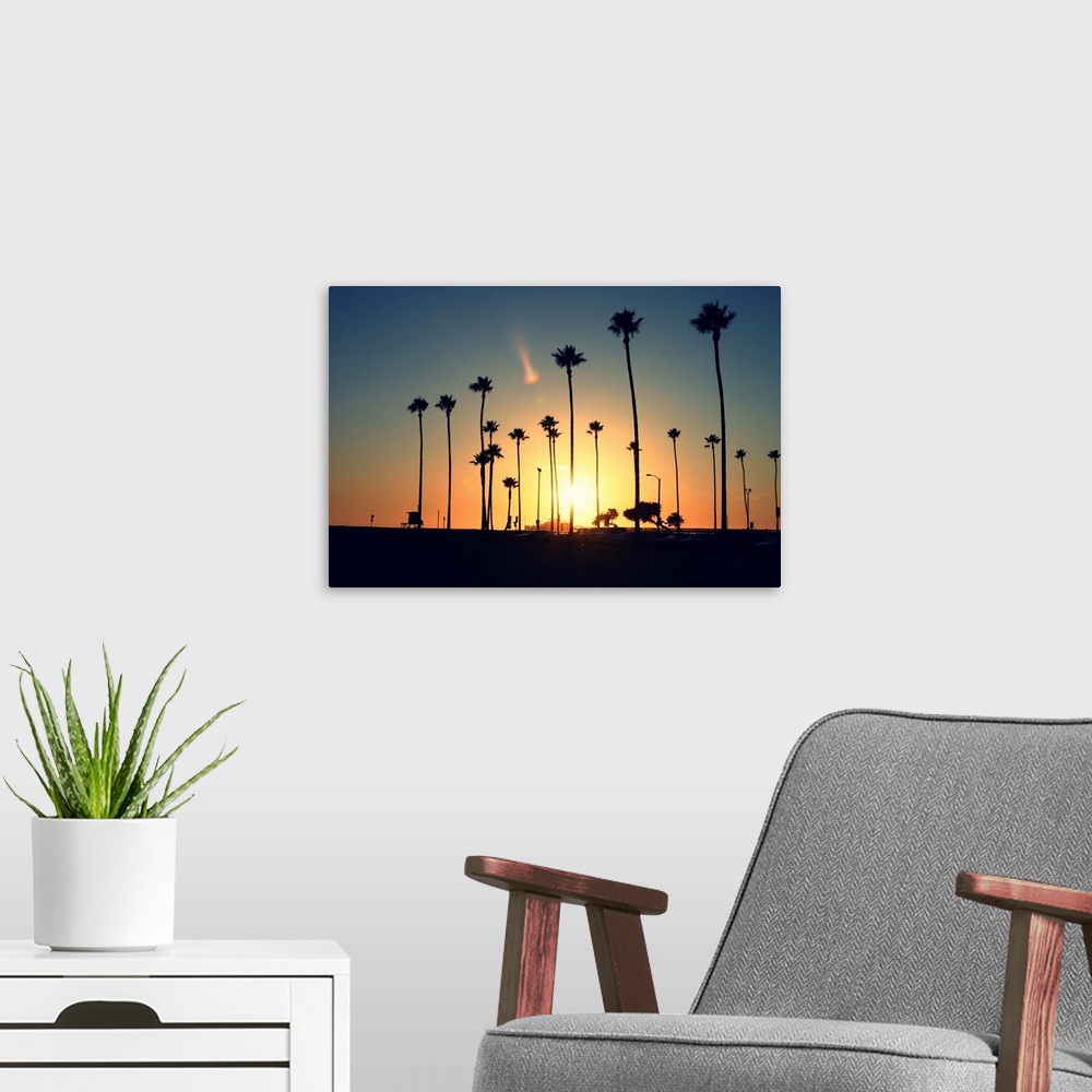 A modern room featuring Silhouette of palm trees at sunset.