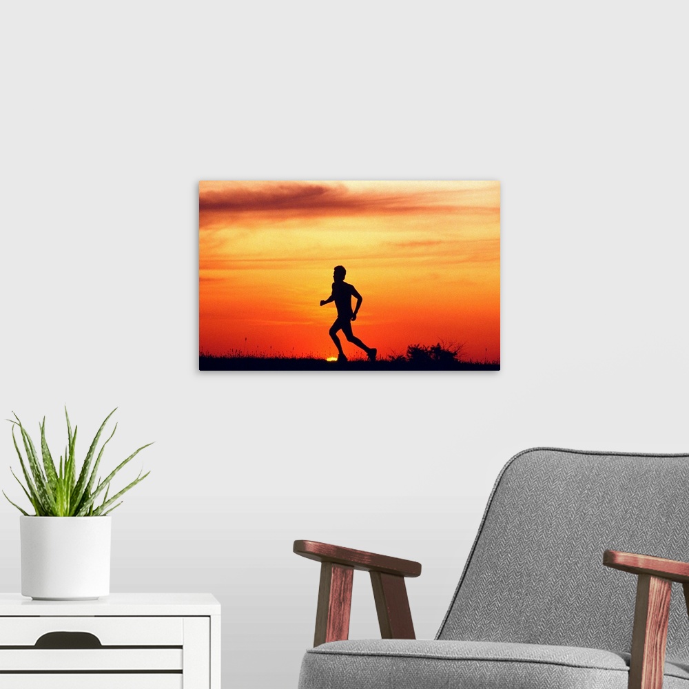 A modern room featuring Silhouette of runner on ridge at sunset