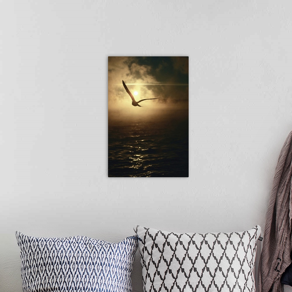 A bohemian room featuring Silhouette of seagull flying at sunset