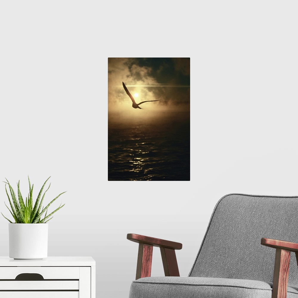 A modern room featuring Silhouette of seagull flying at sunset