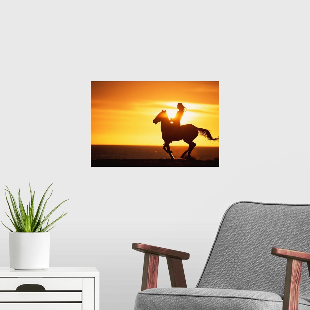 A modern room featuring Big photo on canvas of a woman riding on a horse silhouetted against a bright setting sun.