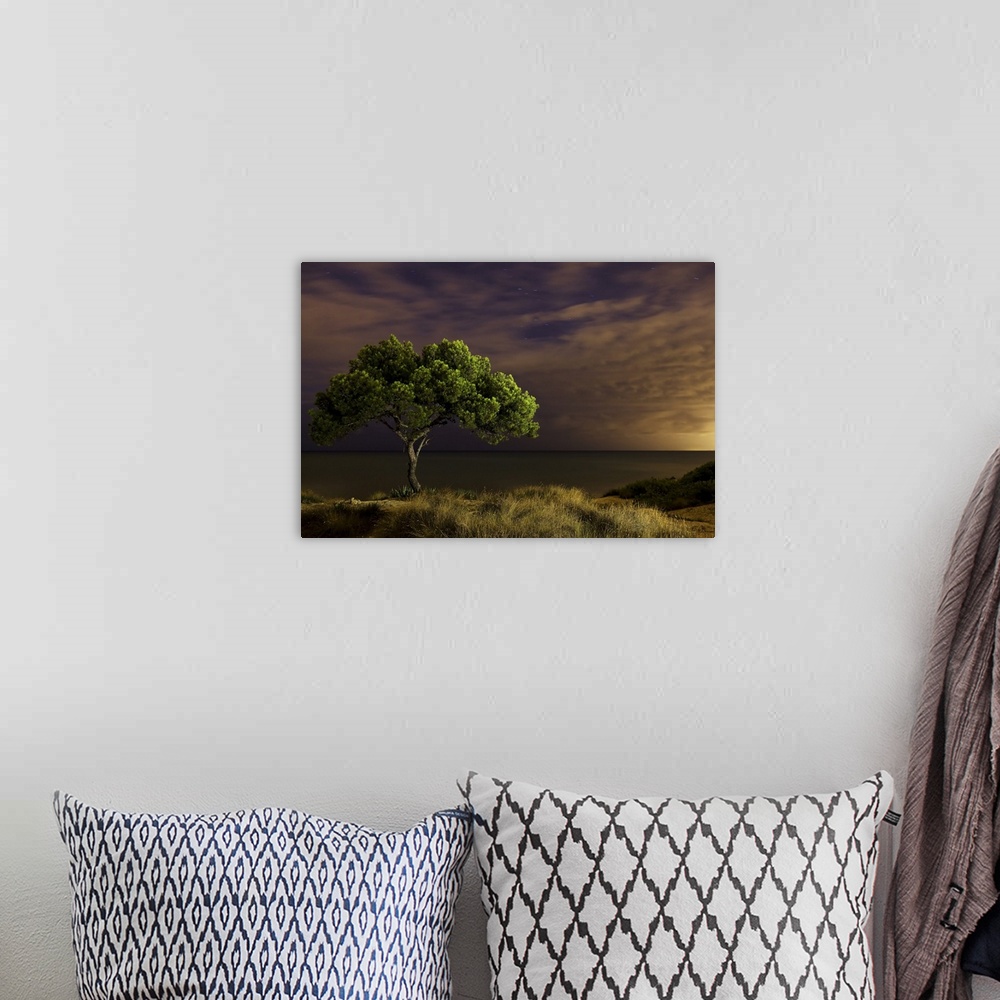 A bohemian room featuring Single tree at night with omnious sky, Spain.