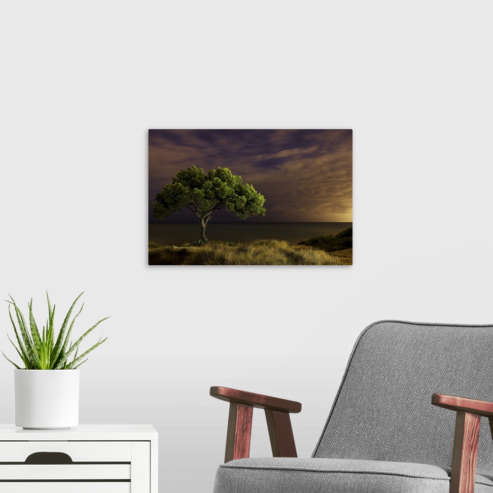 A modern room featuring Single tree at night with omnious sky, Spain.