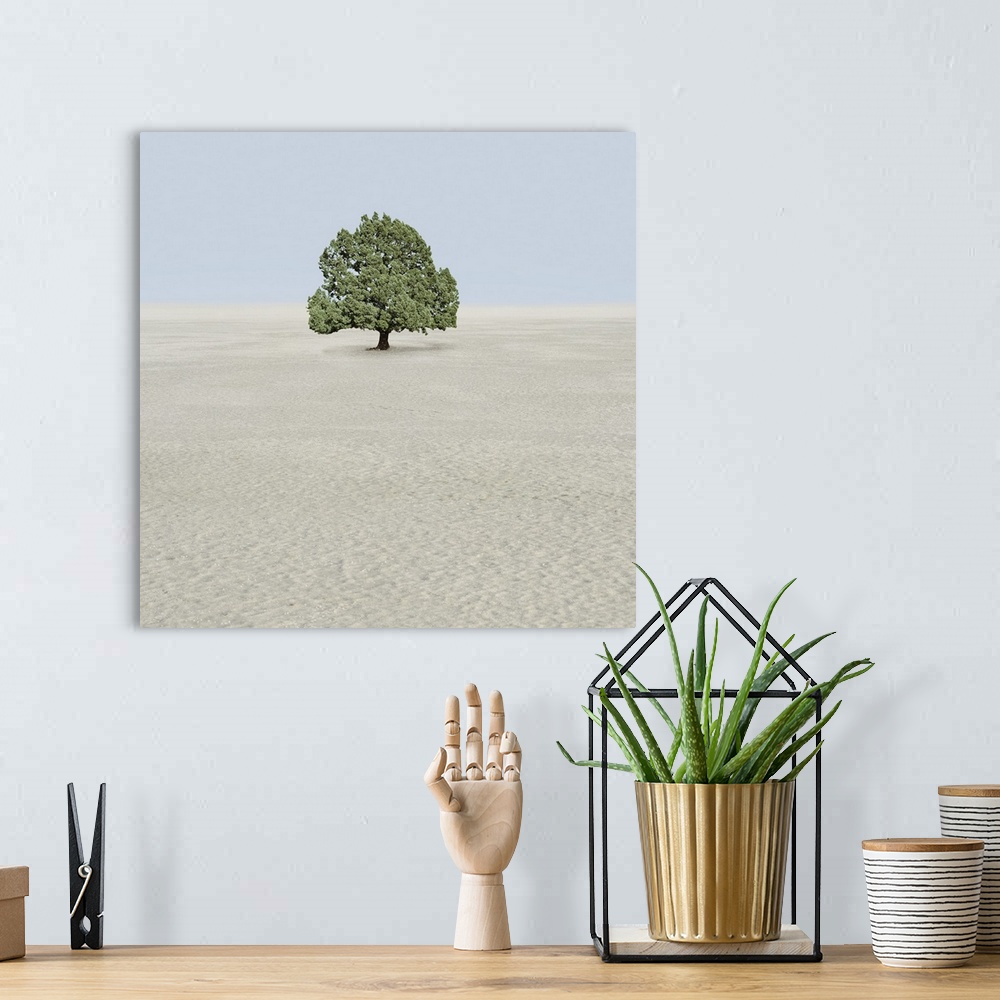 A bohemian room featuring Single tree in desert
