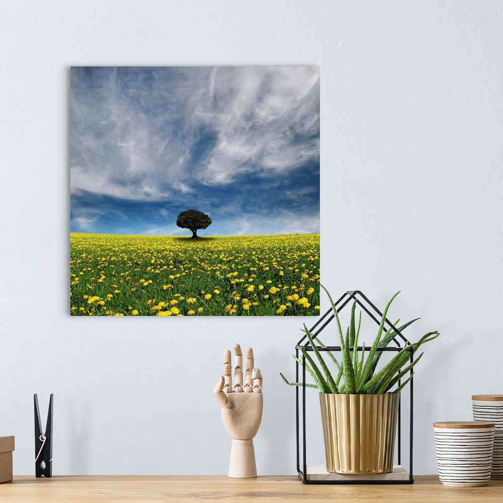 A bohemian room featuring Single tree in middle of flower lawn and stormy cloud.