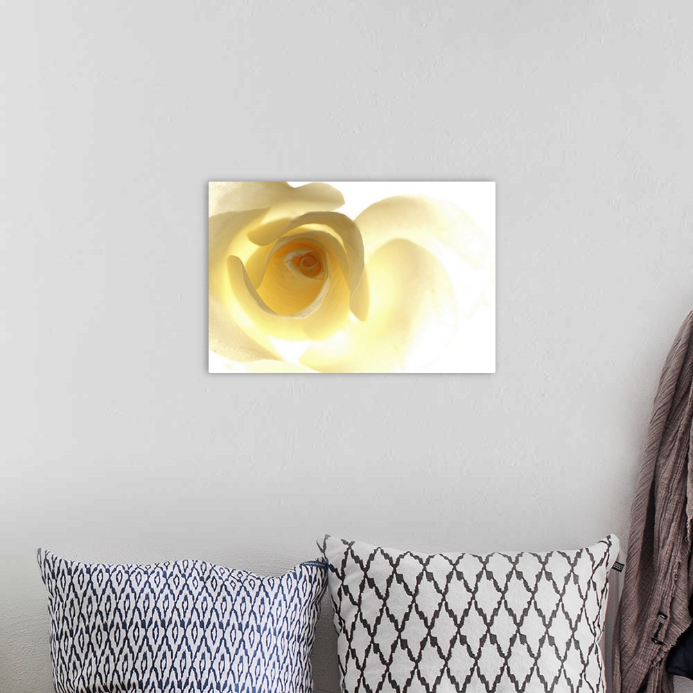 A bohemian room featuring Big, horizontal close up photograph of a single yellow rose that is brightly lit from behind, cau...